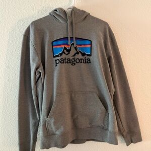 Patagonia Men's Gray Hoodie with Logo